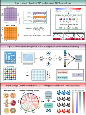 Computational Recognition and Clinical Verification of TGF-β-Derived miRNA Signature With Potential Implications in Prognosis and Immunotherapy of Intrahepatic Cholangiocarcinoma